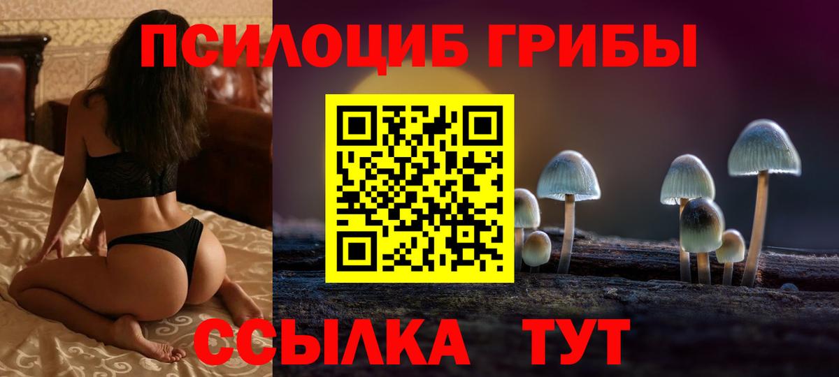 Псилоцибиновые грибы мухоморы Свободный