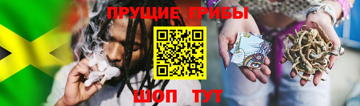 Псилоцибиновые грибы Cubensis  Вход с VPN  Свободный 